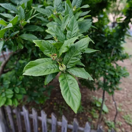 The Cosmic Gate 3 Vikendica Biskupici