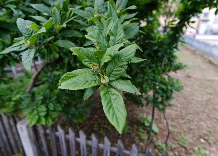 The Cosmic Gate 3 Vikendica Biskupici